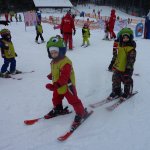 phoca_thumb_m_lye 1.2.  36 Fotogalerie